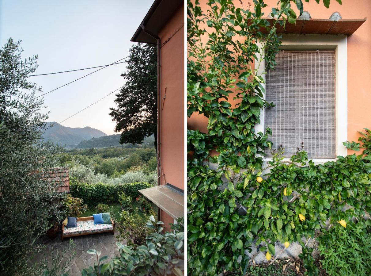 Casetta Di Butia, Mimosa Apartment Borgo a Mozzano Extérieur photo