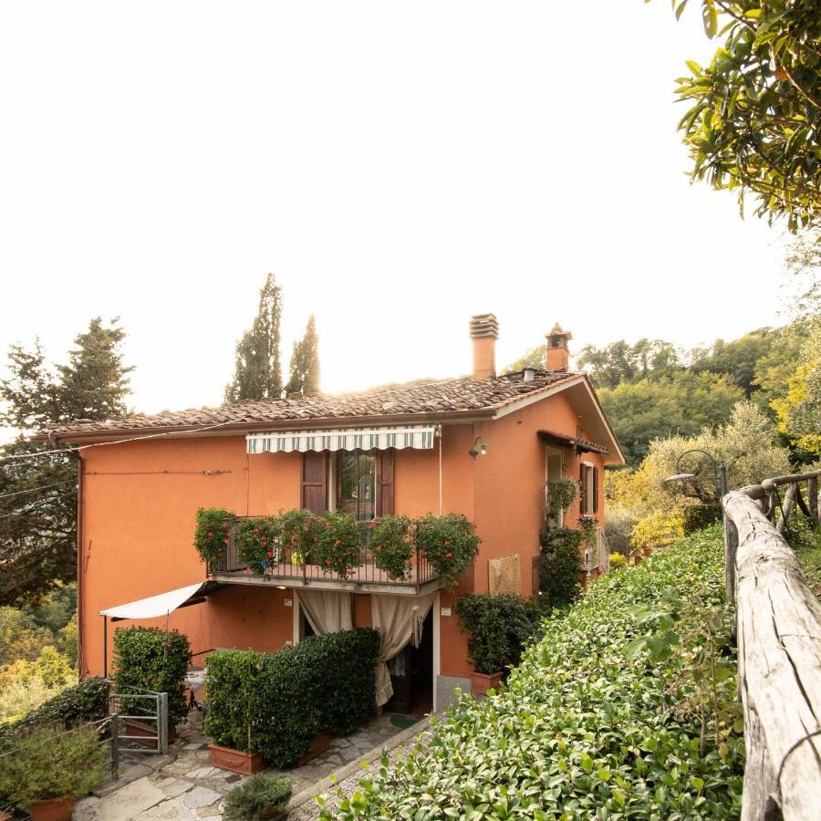 Casetta Di Butia, Mimosa Apartment Borgo a Mozzano Extérieur photo