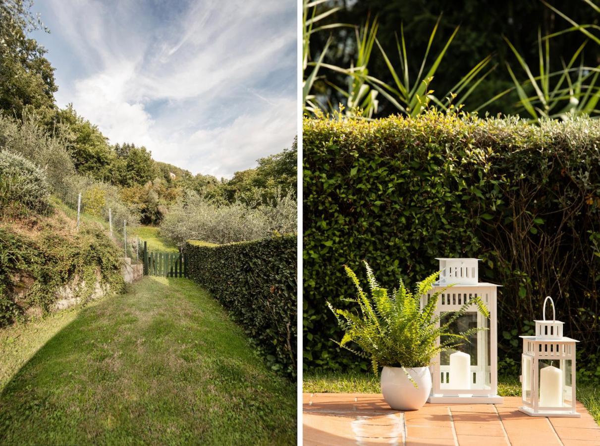 Casetta Di Butia, Mimosa Apartment Borgo a Mozzano Extérieur photo